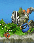 pic for Tropical Fishes